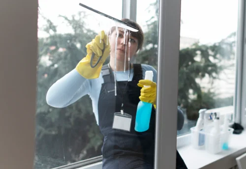 Nettoyage de vitres intérieures et extérieures à Naveil